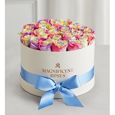 1-800-Flowers Flower Delivery Magnificent Roses Preserved Rainbow Roses