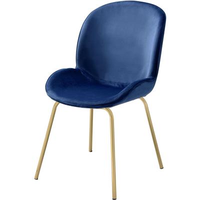 Side Chair (Set-2) by Acme in Blue Gold