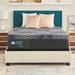 Full Firm 13.5" Hybrid Mattress - Sealy Brenham | 74 H x 53 W in Wayfair 52786840