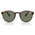 Superdry Saratoga 102 Sunglasses