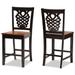 Gervais Modern and Contemporary Transitional 2-Piece Counter Stool Set