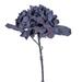 Vickerman 710289 - 13" Grey Blue Dried Hydrangea Spray 6/Bg (FM224017) Dried and Preserved Flowering Plants