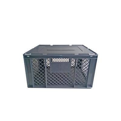 BRB XL Transportbox für Kleintiere/Katzen, LxBxH 600x400x320 mm, Boden geschlossen Image