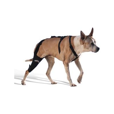 WALKABOUT Dog & Cat Knee Brace, Black, Medium Right