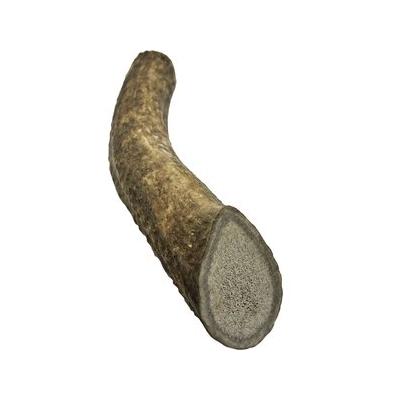 HOTSPOT PETS 7 to 8-in Whole Elk Antlers Dog Treats, Large, 1 count