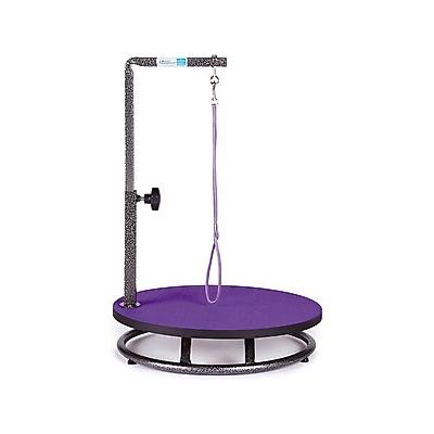 Master Equipment Small Dog & Cat Grooming Table, Purple