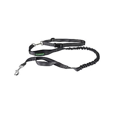 Jespet Bungee Reflective Standard Dog Leash, Black