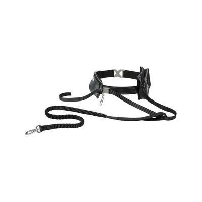 Frisco Outdoor Running Belt with Bungee Dog Leash, Black, SM