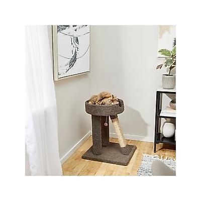 Frisco 24-in Real Carpet Wooden Cat Scratching Perch with Toy, Gray