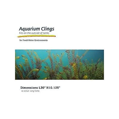 Galapagos Terrarium Background, Aquatic Plant