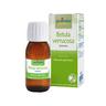 BOIRON® Betula Verrucosa - Gemme 60 ml Soluzione orale