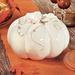 The Holiday Aisle® Ceramic Pumpkin Home Decor Ceramic | 10 H x 12.9 W x 13.1 D in | Wayfair B5B41A2AA3574D4781E6165C8DB00E07