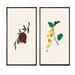 Gracie Oaks Organic Vintage Fruits IV - 2 Piece Graphic Art Set Canvas in Brown/Green/White | 20 H x 24 W x 1 D in | Wayfair