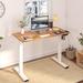 The Twillery Co.® Mancheer Home Office Height Adjustable Standing Desk w/ USB Ports Metal in White/Brown | 40 W x 23.7 D in | Wayfair