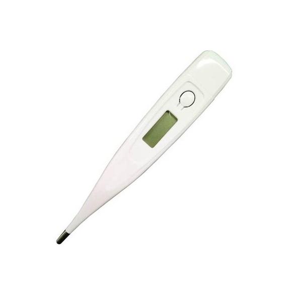 deluxe-comfort-electronic-digital-thermometer-|-wayfair-az_27_2183e/