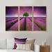 Ebern Designs Lavender Field Sunset w/ Single Tree - Floral Framed Canvas Wall Art Set Of 3 Canvas, Wood in White | 20 H x 36 W x 1 D in | Wayfair