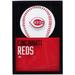 Cincinnati Reds 12'' x 17'' Glass Framed Sign