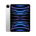 Apple 2022 11" iPad Pro (Wi-Fi + Cellular, 256 GB) - Silber (4. Generation)