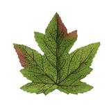 Labakihah Artificial Flowers 50Pcs Artificial Maple Leaves Autumn Leaves for Weddings Autumn Parties Art Scrapbooking Decorations Maple Leaf