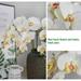 Silk Artificial Phalaenopsis Flowers Artificial Orchid Flowers Branches 8 Large Blooms 30 Inches Stem Plants for Home Wedding Garden Decoration
