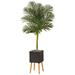 Nearly Natural T2177 6 ft. Golden Cane Artificial Palm Tree with Planter & Stand Black