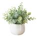 Papaba Artificial Plant Artificial Plant Realistic Nice-looking Beautiful Artificial Flower Plastic Fake Potted Plant Decoration for Home