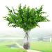 Yirtree 3pc Artificial Eucalyptus Greenery Stems Plants 14.17 Tall Fake Eucalyptus Leaves Spray Silver Dollar Eucalyptus Branches Plant for Home Garden Office Store Decoration