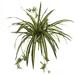 Nearly Natural 23 Plastic/Polyester Spider Bush Artificial Plant (Set of 4) Green