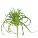Vickerman 5 Artificial Frosted Green Grass Stem Set of 6