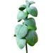 Artificial Succulent Pick DIY - Unpotted Mini Succulent Decor Faux Plant Stem
