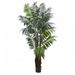 7.5 ft. Bulb Areca Palm Tree