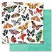 PRIMA MARKETING INC Painted Floral Collection 12x12 Sheet - Butterflies galore - 12x12 in w/ foil details UPC 655350850142