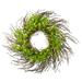 Northlight 20-Inch Green and Yellow Flower Buds Leaves and Twigs Artificial Floral Wreath