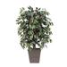 Vickerman 4 Artificial Capensia Bush Made with real Tag Alder trunks and Comes in a Decorative Square Brown Plastic Basket