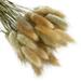 Promotion Clearance 50pcs Natural Dried Flowers Rabbit Tail Grass Flowers Artificial Plant Bouquet Pampas Grass DIY Crafts for Home Wedding Decor