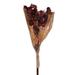 Vickerman 20 Red Artificial Dried Fruit Bunch.