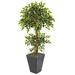 Nearly Natural 5 Variegated Ficus Artificial Tree in Slate Planter Green