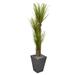 Nearly Natural 5.5 ft. Triple Stalk Yucca Artificial Plant in Slate Planter