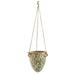 Nearly Natural 2 Green Tuscan Hanging Ceramic Scroll Planter