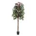 Vickerman Everyday 6 Artificial Capensia in a Black Plastic Pot - Real Hardwood Trunks - Lifelike Home Office Decor - Faux Indoor Potted Tree