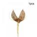 Retap 1pc/10pcs Natural Cotton Stems Flower Nordic Dried Cotton Flowers for Home Bar Shop Decoration Wedding Dried Flowers Decoration