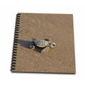 3dRose Kemps ridley sea turtle baby South Padre Island South Texas - Mini Notepad 4 by 4-inch