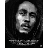 Bob Marley - Get Up Stand Up Poster (16 x 20)