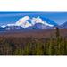 View of Denali from the portion of the park road open to the public in Denali National Park; Alaska United States of America Poster Print by Steven Miley / Design Pics (17 x 11)