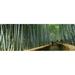 Stepped walkway passing through a bamboo forest Arashiyama Kyoto Prefecture Kinki Region Honshu Japan Poster Print by - 36 x 12