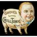 Patent Medicine C1885. /Namerican Advertising Display Card For Grove S Chill Tonic. Poster Print by (18 x 24)