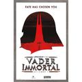 Star Wars: Saga - Vader Immortal Wall Poster 14.725 x 22.375 Framed