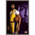 NBA Los Angeles Lakers - Anthony Davis 19 Wall Poster 22.375 x 34 Framed