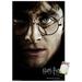 Harry Potter and the Deathly Hallows: Part 1 - Harry One Sheet Wall Poster 14.725 x 22.375