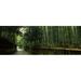 Road passing through a bamboo forest Arashiyama Kyoto Prefecture Kinki Region Honshu Japan Poster Print by - 36 x 12